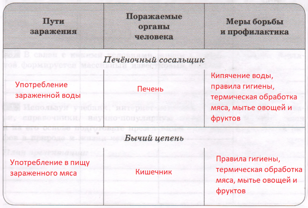 Решение рисунок 1
