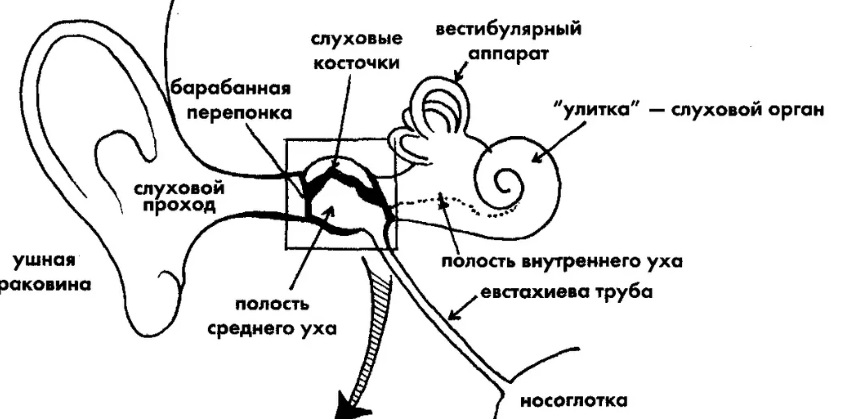 Решение рисунок 1