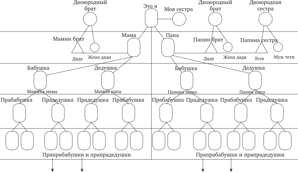 Решение рисунок 1