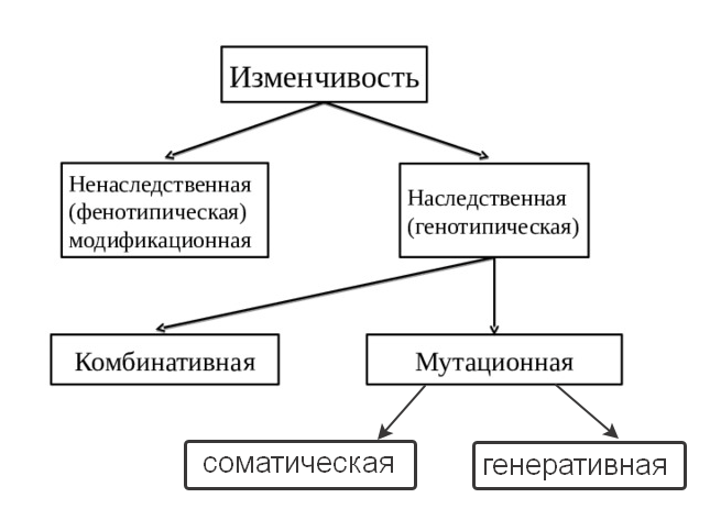 Решение рисунок 1
