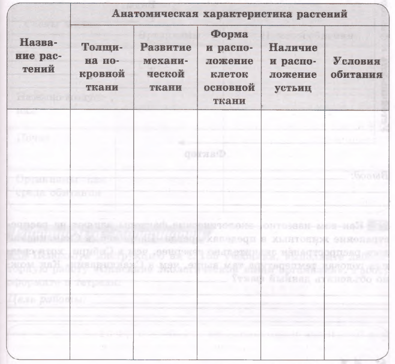 Задание рисунок 1