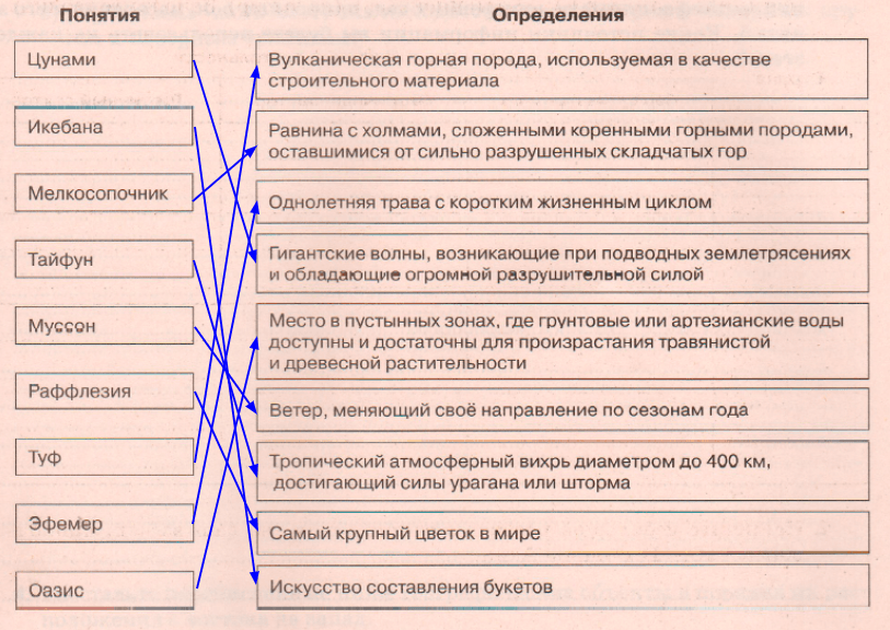 Решение рисунок 1