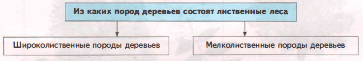 Задание рисунок 2