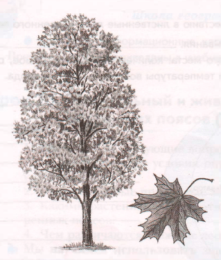 Задание рисунок 5