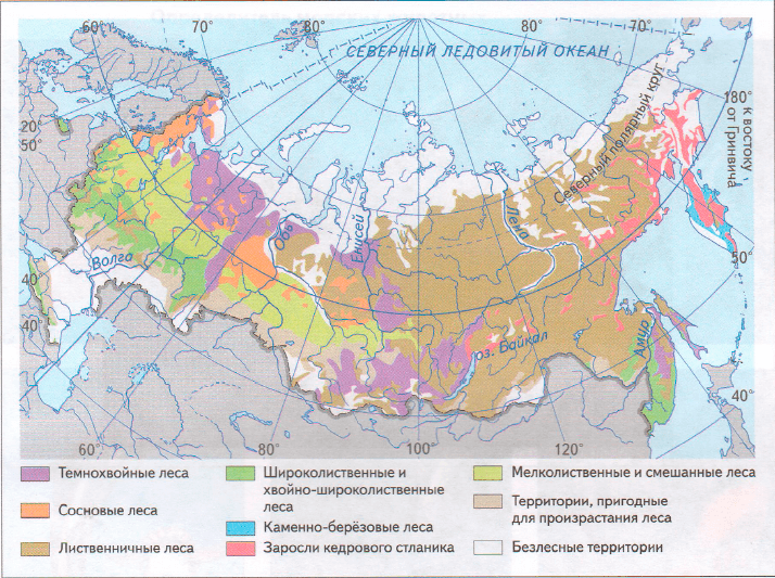Решение рисунок 1