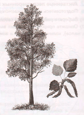 Решение рисунок 8
