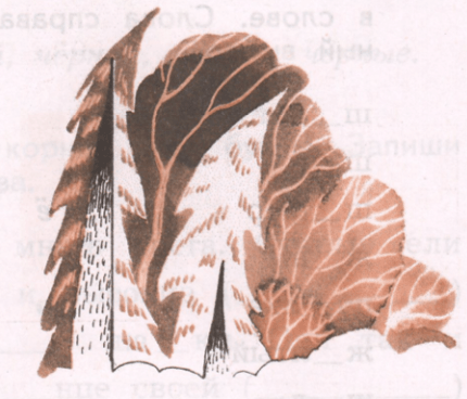 Задание рисунок 1