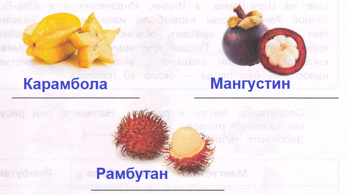 Решение рисунок 1