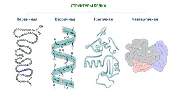 Решение рисунок 2