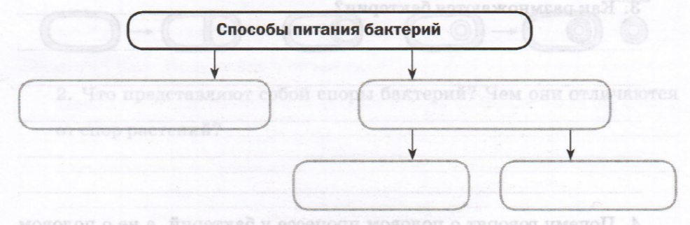 Задание рисунок 1
