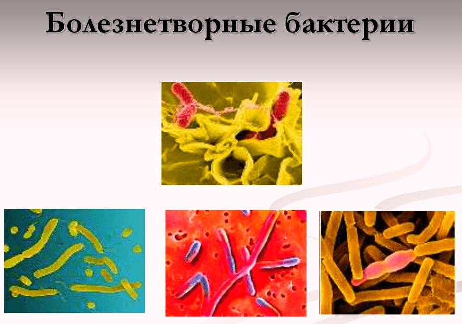 Решение рисунок 2