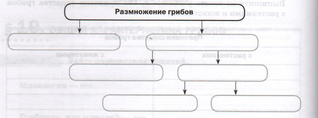 Задание рисунок 1