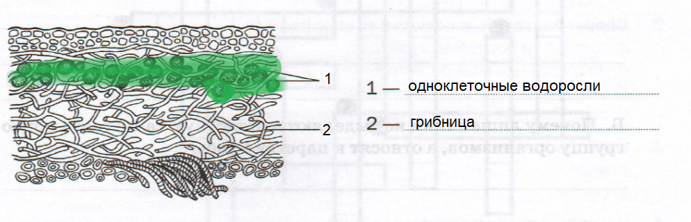Решение рисунок 1