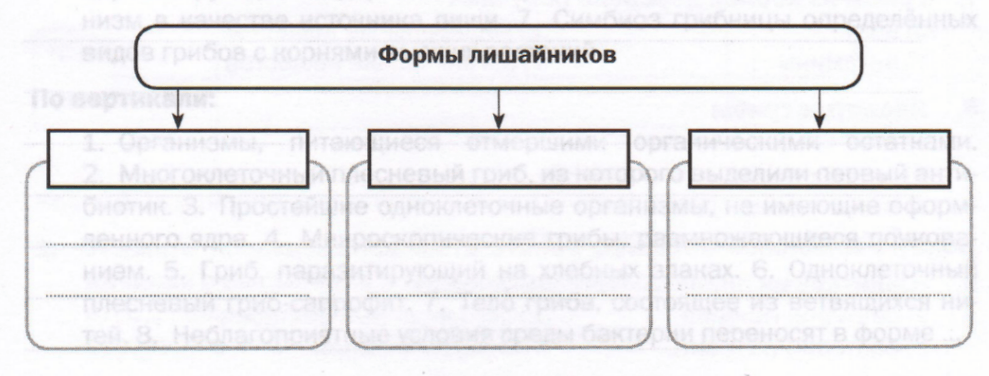 Задание рисунок 1