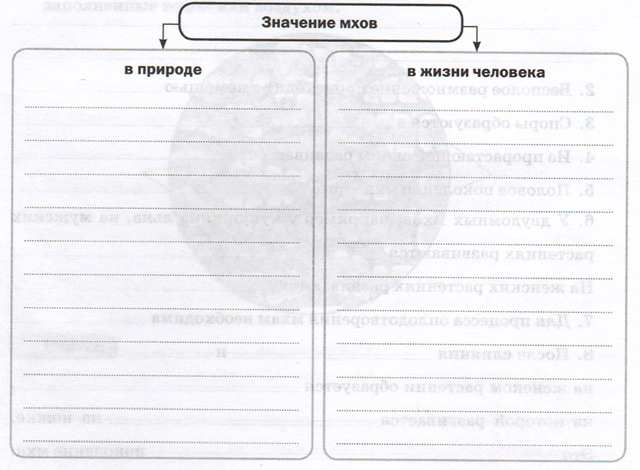 Задание рисунок 1