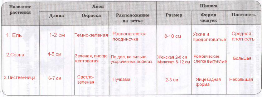 Решение рисунок 1