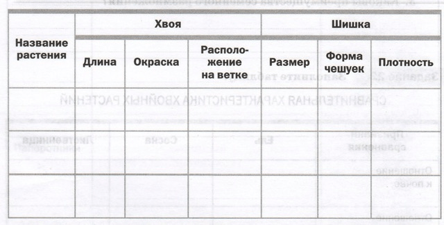 Задание рисунок 1