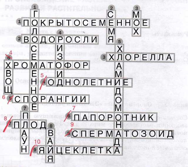 Решение рисунок 1