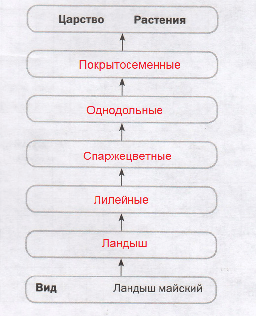Решение рисунок 1
