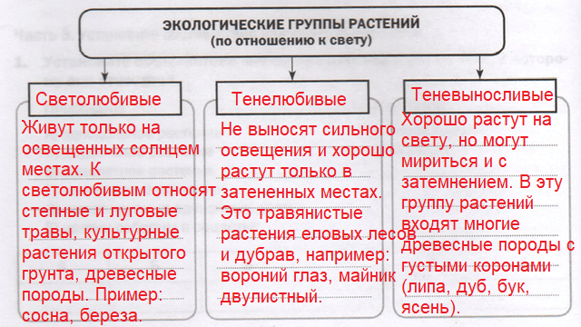 Решение рисунок 1