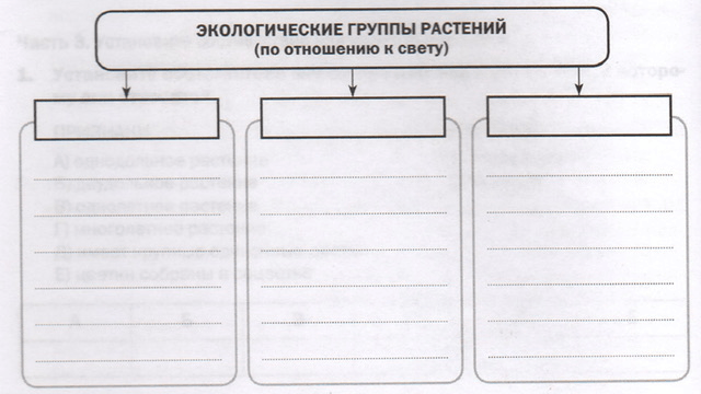 Задание рисунок 1