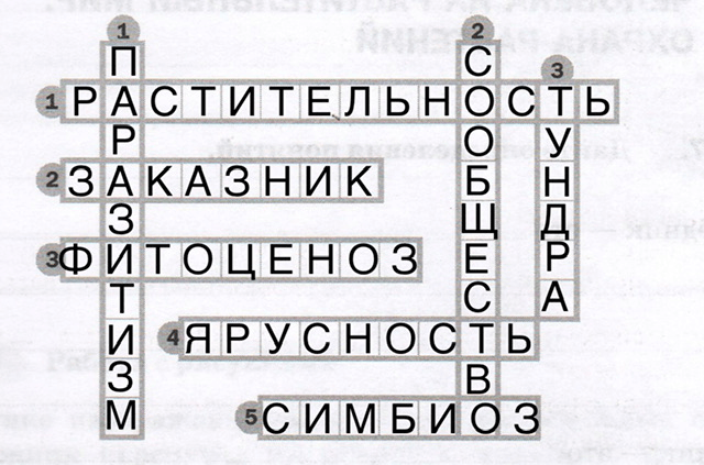 Решение рисунок 1