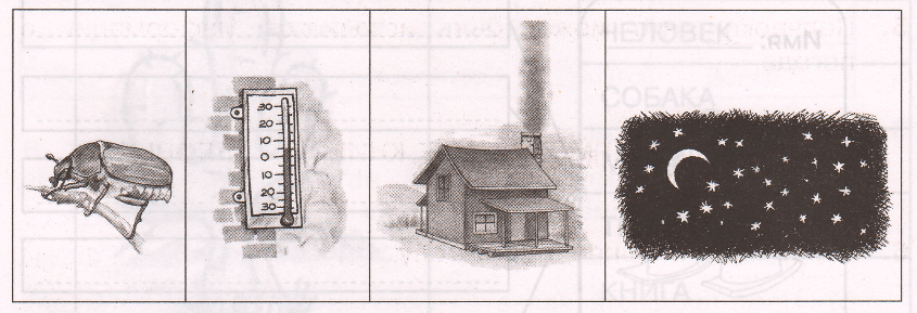 Задание рисунок 1