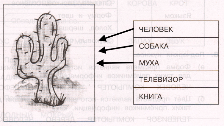 Решение рисунок 1