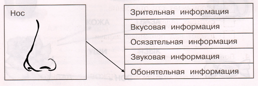 Решение рисунок 3