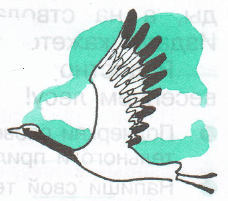 Задание рисунок 1