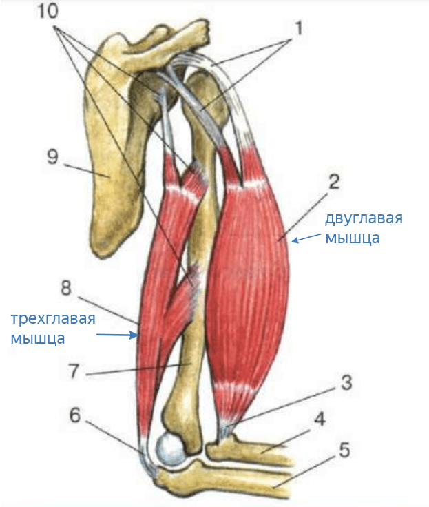Решение рисунок 1