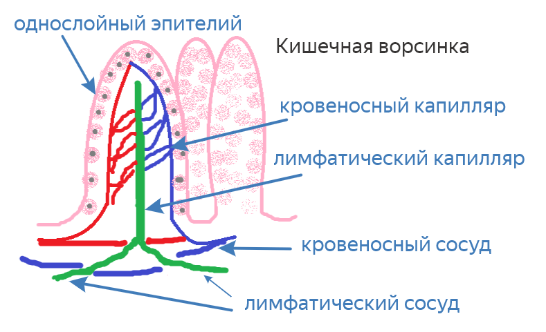 Решение рисунок 1