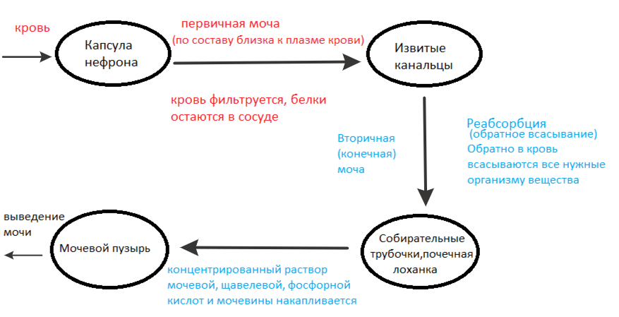 Решение рисунок 1