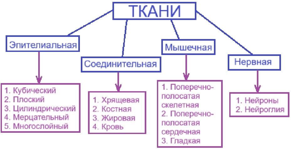 Решение рисунок 1