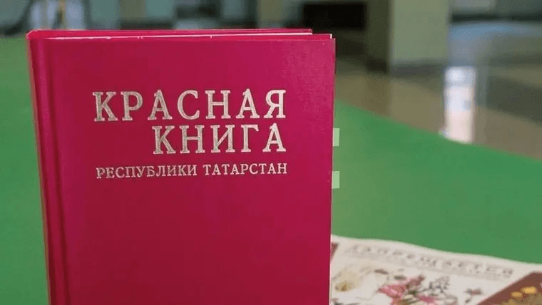 Решение рисунок 2