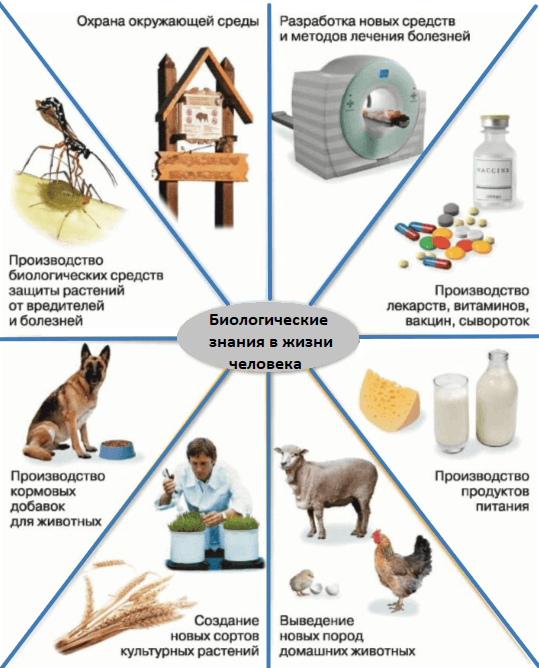Решение рисунок 1