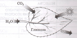 Задание рисунок 1