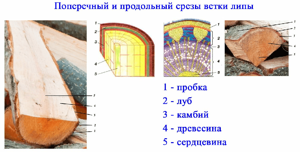 Решение рисунок 3