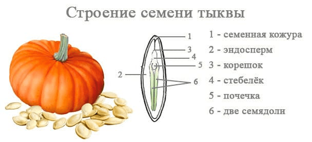 Решение рисунок 1
