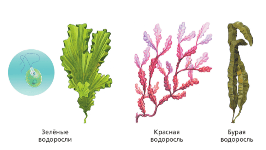 Решение рисунок 4