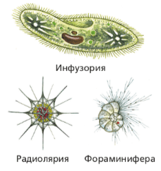 Решение рисунок 1