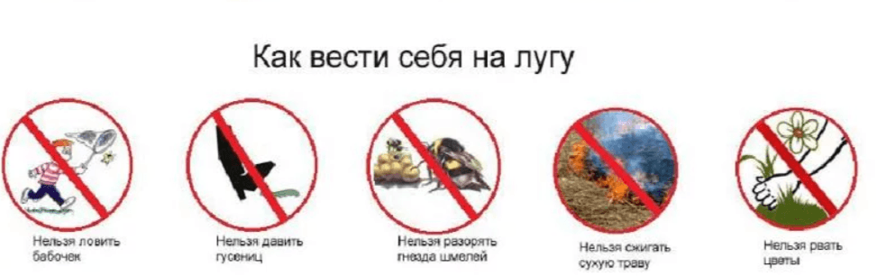 Решение рисунок 9