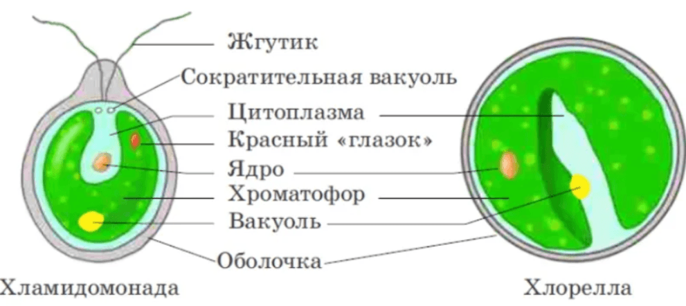 Решение рисунок 1