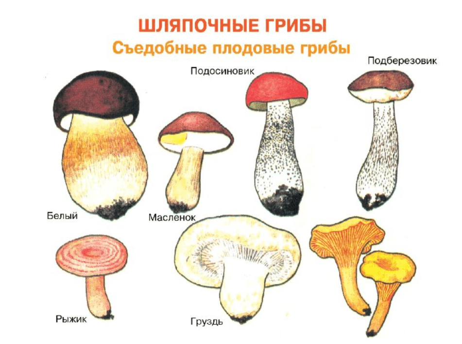 Решение рисунок 1