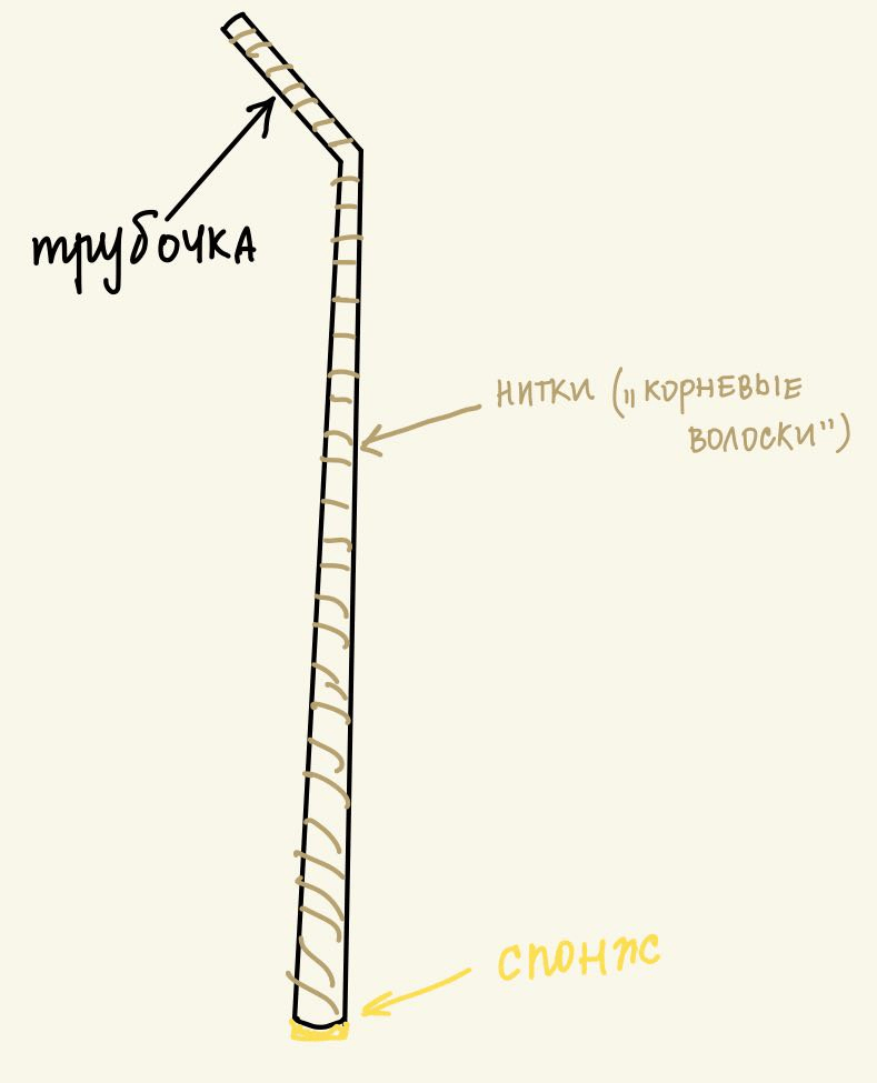 Решение рисунок 1