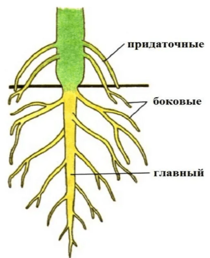 Решение рисунок 1