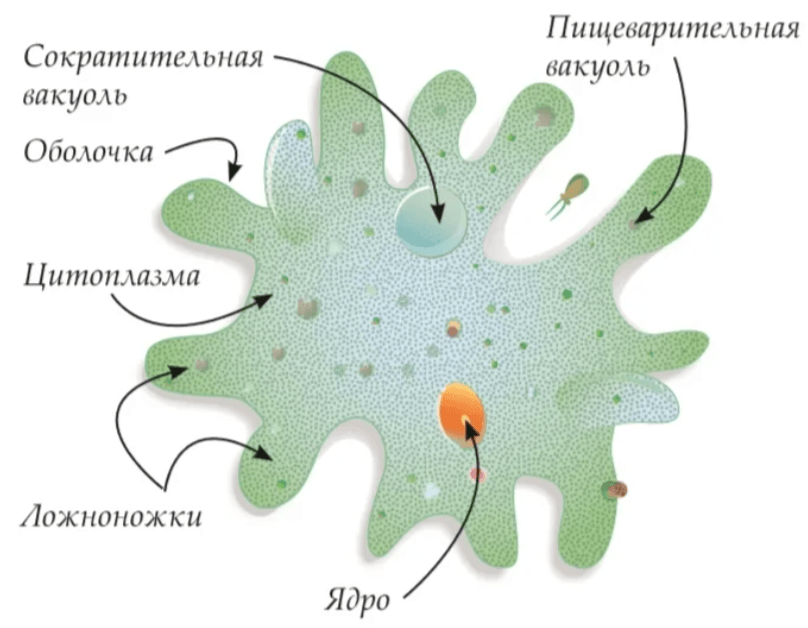 Решение рисунок 1