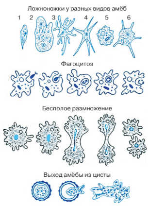 Задание рисунок 1