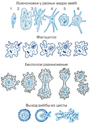 Задание рисунок 1