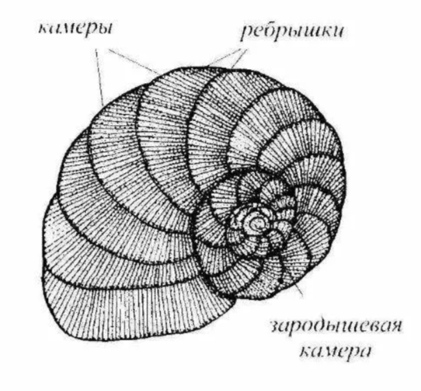 Решение рисунок 2